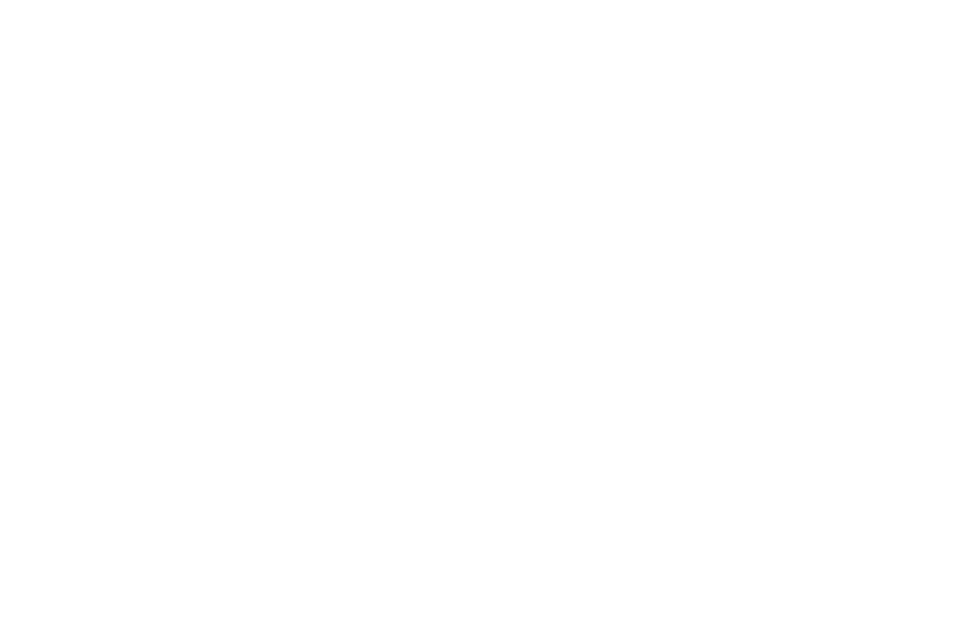 Nicolas logo